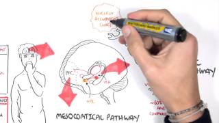 Brief Introduction to Psychosis [upl. by Tristan]