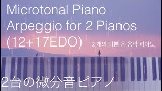 【微分音】Microtonal Piano Arpeggio for 2 Pianos 1217EDO2台のピアノのための微分音アルペジオ H Wakabayashi [upl. by Driscoll]