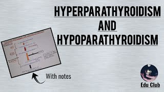 Hyperparathyroidism And Hypoparathyroidism  Disorders Of Calcium Homeostasis [upl. by Mosora903]