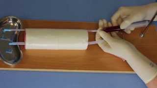 How to Setup the Venipuncture Trainer [upl. by Reinke]