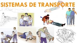 SISTEMAS DE TRANSPORTE [upl. by Gnem281]