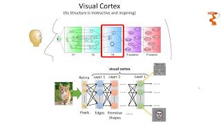 Convolutional Neural Networks CNN Explained  Deep Learning [upl. by Eecyal574]