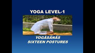 Yoga practice first level 16 postures dt 3 Oct 2017 [upl. by Anileve]