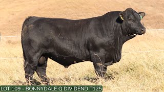 Lot109 Bonnydale Q T125 [upl. by Noryk]