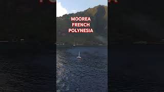 MooreaFrench Polynesia [upl. by Naehgem145]