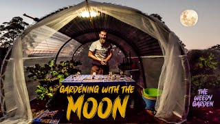 Moon Planting And Gardening Guide  Moon Planting Unlocking the Full Potential of Your Seeds [upl. by Yecac953]