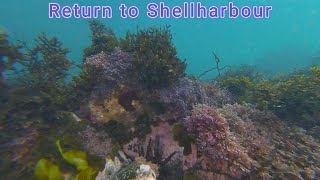 Return to the Shellharbour breakwater with my underwater drone [upl. by Ronald]