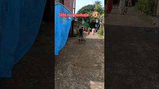 Kolkata catching blind dog and treatment for shelter difficult catching karon dog ta pregnant [upl. by Lehcem]