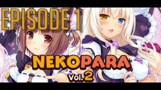 The Search Continues for My Catgirl Waifu Nekopara Vol 2 [upl. by Edana368]