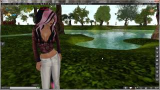 Firestorm Tutorial  Custom Prim Params [upl. by Alamaj]