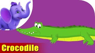 Crocodile Rhymes Crocodile Animal Rhymes Videos for Children [upl. by Ahsam]