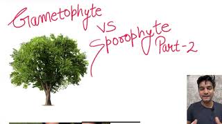 Gametophyte VS Sporophyte Part  2 l NEET l CBSE l Plant Kingdom [upl. by Eirod27]