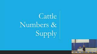 Beef Cattle Market Outlook – Anne Wasko – President Cattle Trennds [upl. by Kcirddot]