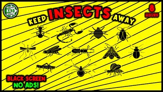 ANTI INSECTS REPELLENT SOUND ⛔🦟 KEEP INSECTS AWAY  ULTRASONIC SOUND [upl. by Jadwiga]