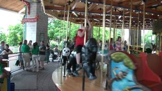 Will at Brookfield Zoo Carousel [upl. by Ogawa346]