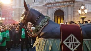 450Mulassa La Mulassa de Barcelona bufa el pastís dels 450 anys per Santa Eulàlia  Gegants [upl. by Aissilem]