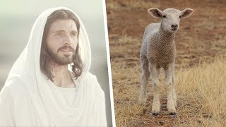 Jesus Christ the Passover Lamb [upl. by Aligna]