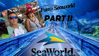 Part 2 Fun at Seaworld [upl. by Klingel]