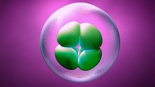 Mitosis and Meiosis in detail 7 minutes lecture [upl. by Tabor]