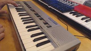 Bontempi Master X201 Keyboard  Sounds [upl. by Ylsew155]