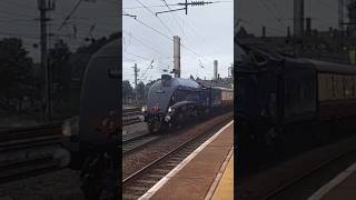 47805 quotRoger Hoskingquot60007 quotSir Nigel Gresleyquot Pulls Into Preston With Clag trainspotting shorts [upl. by Pradeep]