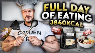 Full Day of Eating Olympia Prep Edition [upl. by Jose965]