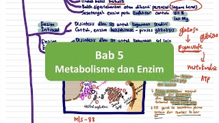 BIOLOGI SPM T4 Bab 5 Metabolisme dan Enzim [upl. by Ojadnama]