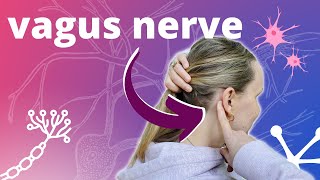 4 Vagus Nerve Massage for Stress amp Anxiety [upl. by Oiraved]