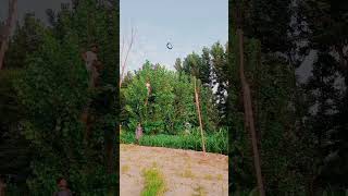 Ring throwing stuntshorts viralvideo shortsfeed shortvideotrendingtrendingshortsyoutubeshorts [upl. by Amri472]