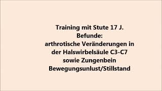 Stute mit HWS  Zungenbein Befunden  Trainingsauszug [upl. by Leandro750]