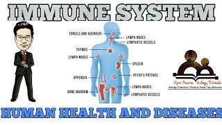 Our immune system  human health and disease NCERT for NEET and AIIMS [upl. by Aehtla448]