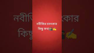 নবীজির চমৎকার কিছু কথা🥀🥰amazingfacts history motivation fact religionshorts ytshorts islamic [upl. by Tessler]