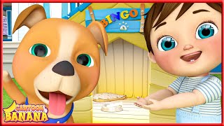 NEW BINGO Song🐶 MORE childrens songs and nursery rhymes Banana Super coco kidssong [upl. by Zaremski]