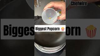 Making biggest popcorn 🍿making popcorn easyrecipe viral foodvideos instagram chefwire [upl. by Cohbert478]