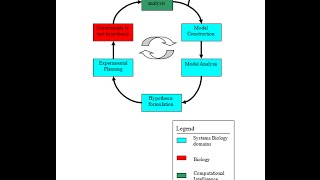 Um curso sintético em biomatemática metas e além [upl. by Twelve]