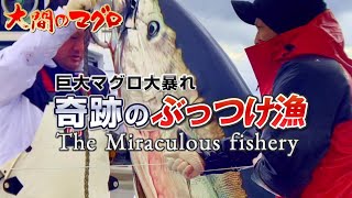 まさかの一投目 寒波でマグロ大暴れ 奇跡のぶっつけ漁 巨大マグロを追う マグロ釣り 南兄弟｜RYUJIN｜大間のまぐろ 竜神りゅうじん [upl. by Aitra973]