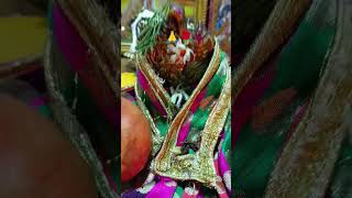 मेरी विनती सुनो सांवरे राम जी 🙏🌹subscribeytshortsytshorts bhaktisongytshortsvideoviralvideo to [upl. by Iveksarap]