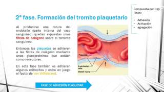 HEMOSTASIA PRIMARIA EN 1 MINUTO [upl. by Borries118]