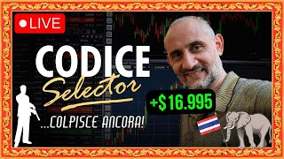 Codice Selector colpisce ancora 16955 in 15 giorni intradaytrading [upl. by Ainnek]