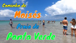 Sabe onde fica o Caminho de Moisés da pontaverde em maceio  Nós fomos e te mostramos agora Vem [upl. by Oliy761]