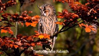 Fotoworkshop mit LodzigNaturfoto [upl. by Eikcuhc]