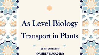 A Level Biology Transport in Plant  Cambridge 9700  Part 1 [upl. by Alioz]