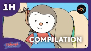 TChoupi et ses amis 🦁 COMPILATION  Spéciale ANIMAUX  🦕1h  Dessins animés pour enfants [upl. by Teador704]