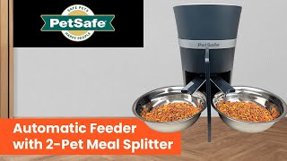 PetSafe Smart Feed Automatic Pet Feeder with 2Pet Meal Splitter for Cats and Dogs [upl. by Acsicnarf]