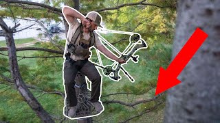 Top 7 Best Climbing Tree Stand For Bow Hunting [upl. by Vada]