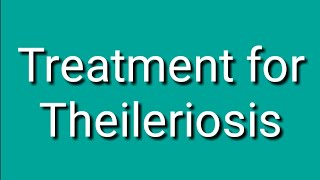 Theileriosis  Theileria anuleta  Theileriosis in calf  جانوروں میں چیچڑیوں والا بخار [upl. by Eiblehs]