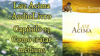 Como tratar médiuns  Capítulo 13  Luz Acima  Audiobook [upl. by Anes265]