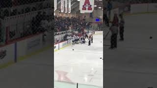 Acadia vs stfx hockey brawl [upl. by Novej]