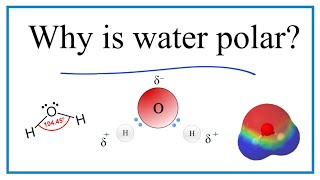 Why is water H2O a polar molecule [upl. by Narmi761]