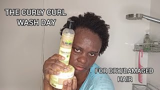 THE CURLY CURL WASH DAY FOR DRYDAMAGED HAIR lowporosity washday curlyhair viral [upl. by Nonnelg]